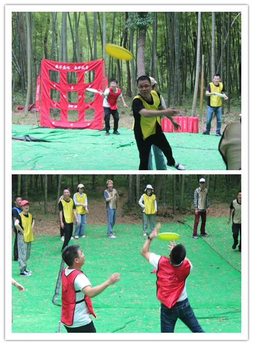 4008云顶集团·(中国游)官方网站